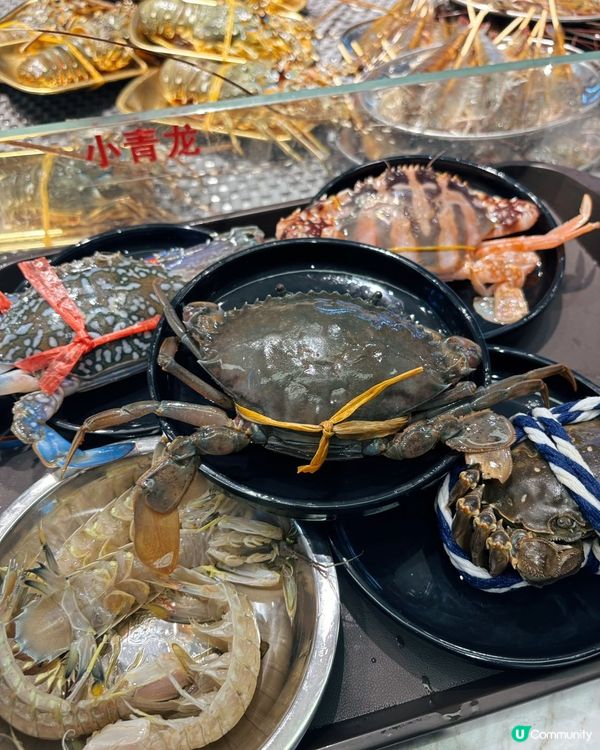 1.  凍冰冰打邊爐🤤！羅湖海鮮火鍋勁抵食！🦞🦀🦪