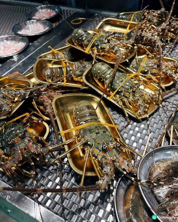 1.  凍冰冰打邊爐🤤！羅湖海鮮火鍋勁抵食！🦞🦀🦪