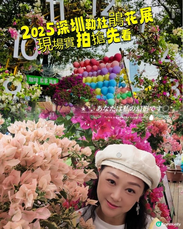 🌺我愛花花🌺之簕杜鵑花展1107#深圳花海#開幕啦