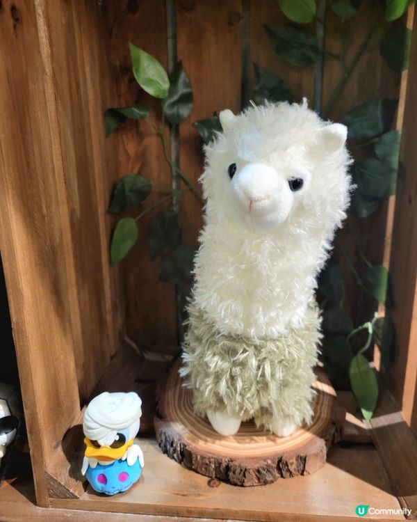 森林系餐廳打卡📸！動物陪住你食野🐑