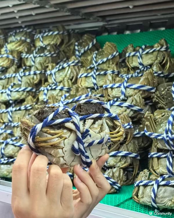 蟹隆行大閘蟹登陸蓮塘！🦀 買十送二！😋