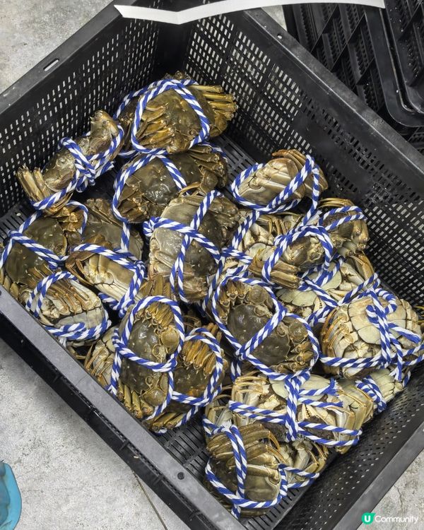 蟹隆行大閘蟹登陸蓮塘！🦀 買十送二！😋