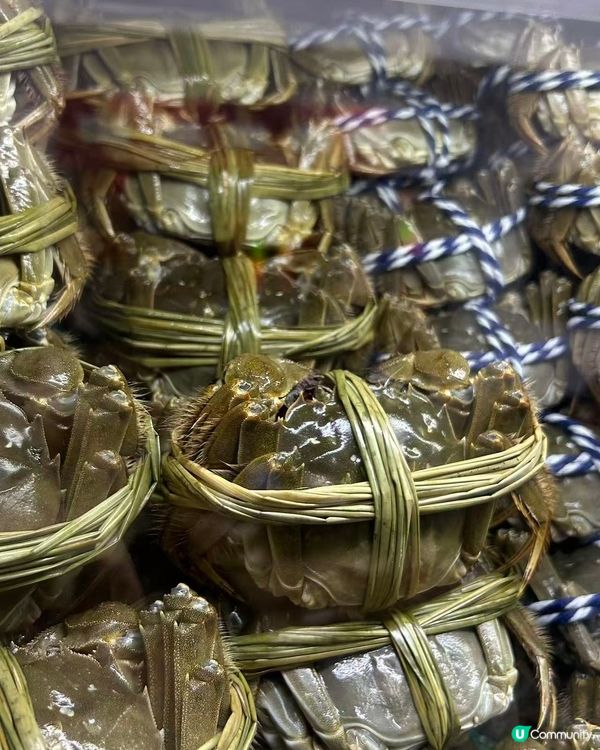 蟹隆行大閘蟹登陸蓮塘！🦀 買十送二！😋