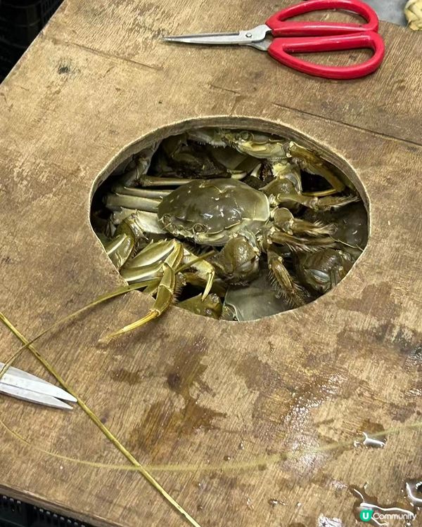 蟹隆行大閘蟹登陸蓮塘！🦀 買十送二！😋