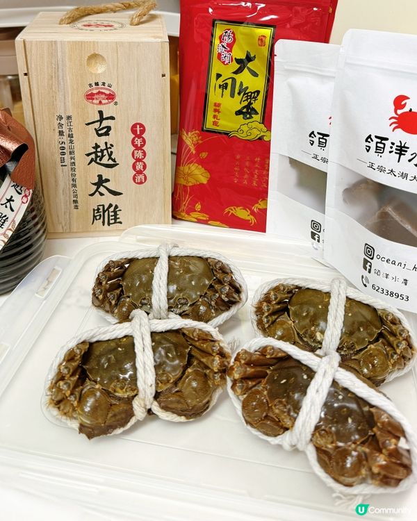 大閘蟹季🦀！爆膏蟹乸🤤，食到停唔到口！