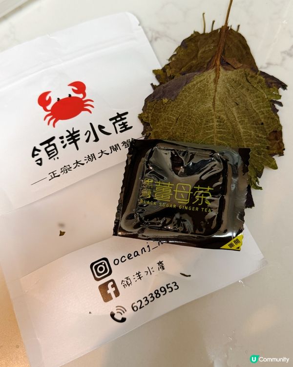 大閘蟹季🦀！爆膏蟹乸🤤，食到停唔到口！