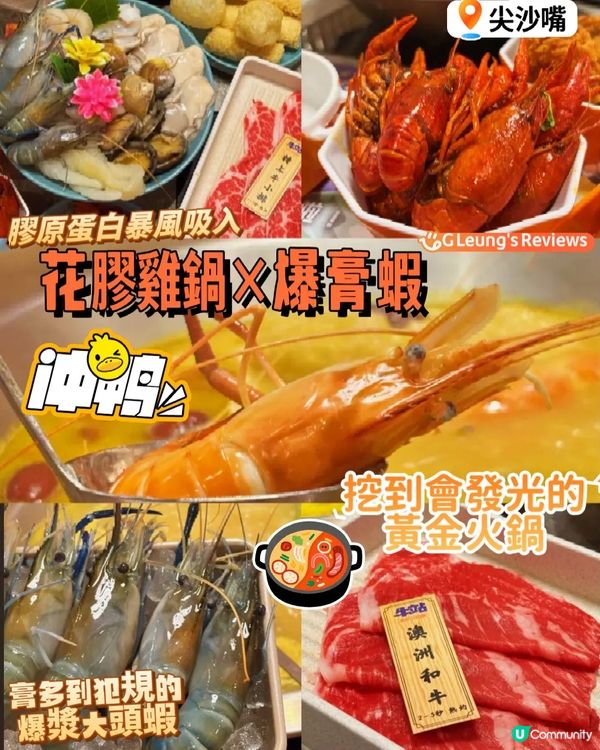 這鍋金湯讓全港女生瘋狂衝刺🔥花膠雞鍋×爆膏蝦的奢華對決 