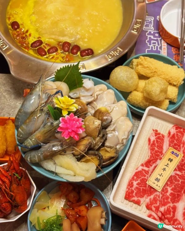 這鍋金湯讓全港女生瘋狂衝刺🔥花膠雞鍋×爆膏蝦的奢華對決 