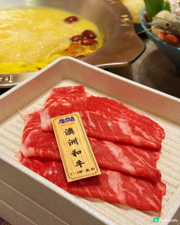 這鍋金湯讓全港女生瘋狂衝刺🔥花膠雞鍋×爆膏蝦的奢華對決 