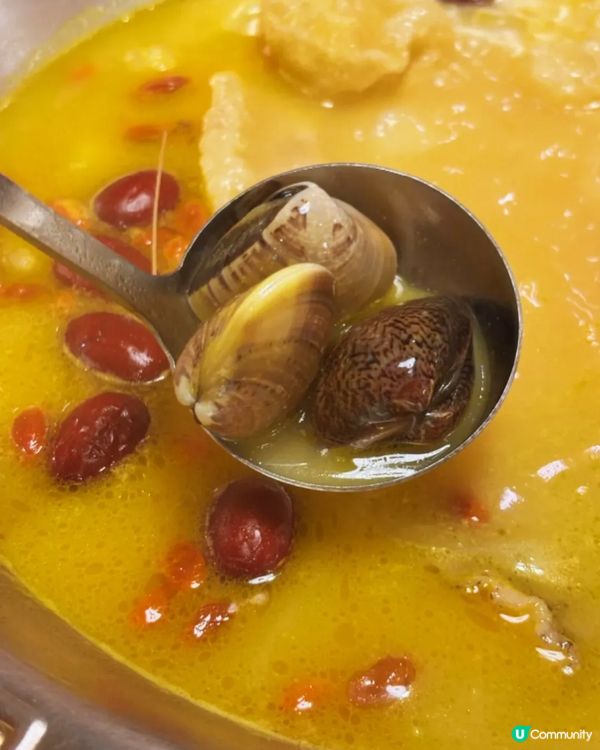 這鍋金湯讓全港女生瘋狂衝刺🔥花膠雞鍋×爆膏蝦的奢華對決 