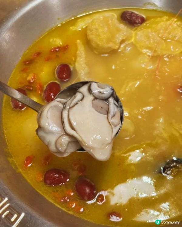 這鍋金湯讓全港女生瘋狂衝刺🔥花膠雞鍋×爆膏蝦的奢華對決 