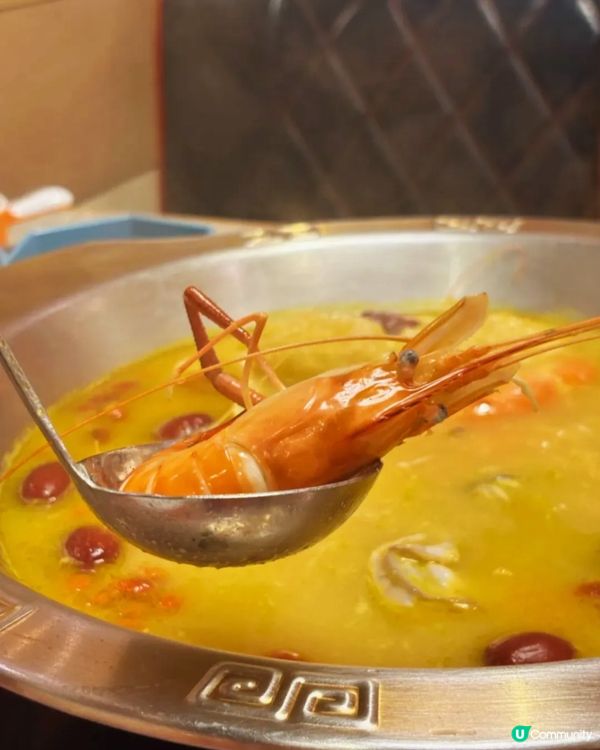 這鍋金湯讓全港女生瘋狂衝刺🔥花膠雞鍋×爆膏蝦的奢華對決 