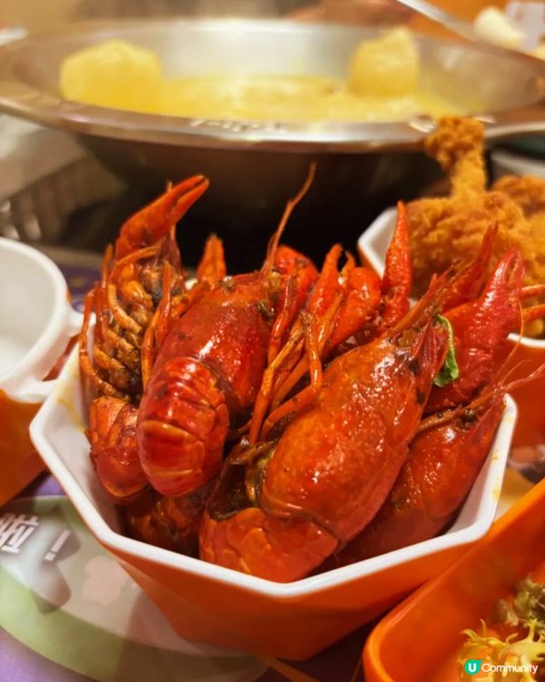 這鍋金湯讓全港女生瘋狂衝刺🔥花膠雞鍋×爆膏蝦的奢華對決 