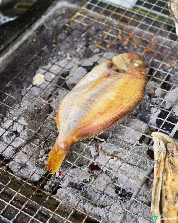 系島篇：燒海鮮夠新鮮