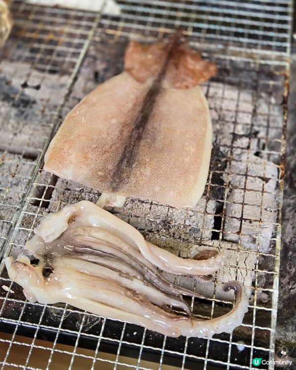 系島篇：燒海鮮夠新鮮