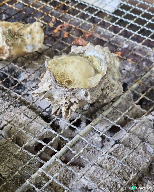 系島篇：燒海鮮夠新鮮