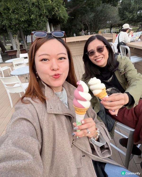 福岡掃帚草花海攻略！🍁 交通入場懶人包！🤩