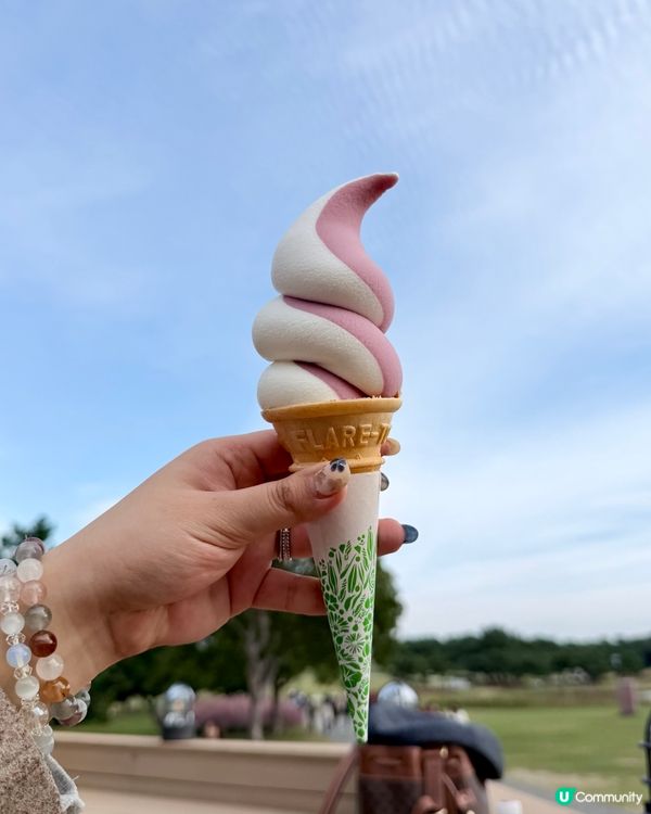 福岡掃帚草花海攻略！🍁 交通入場懶人包！🤩