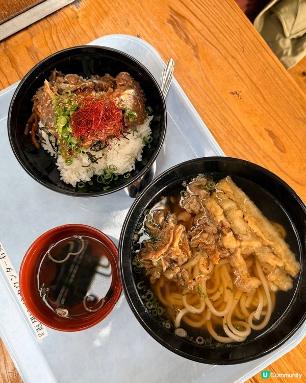 福岡掃帚草花海攻略！🍁 交通入場懶人包！🤩