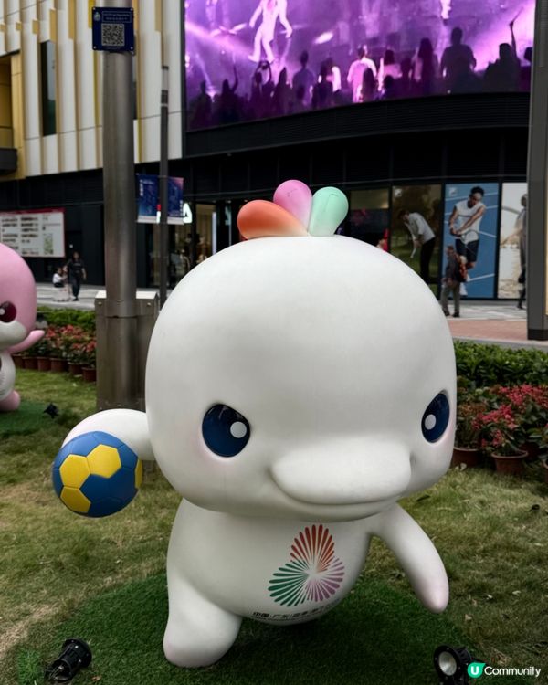 香港手球隊勁呀！🇭🇰 全運會四強！💪