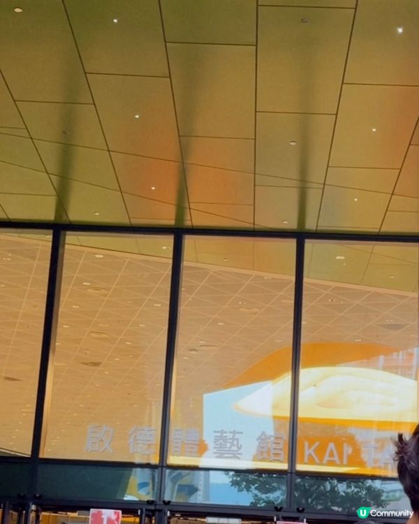 香港手球隊勁呀！🇭🇰 全運會四強！💪