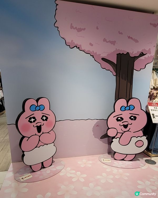 喜歡底褲兔朋友去睇睇