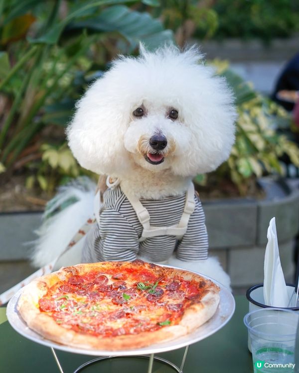 地方寬敞，可惜餐飲質素跌咗少少… 🤏🏻