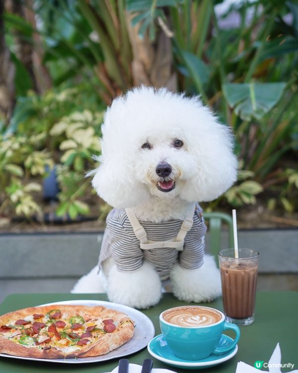 地方寬敞，可惜餐飲質素跌咗少少… 🤏🏻