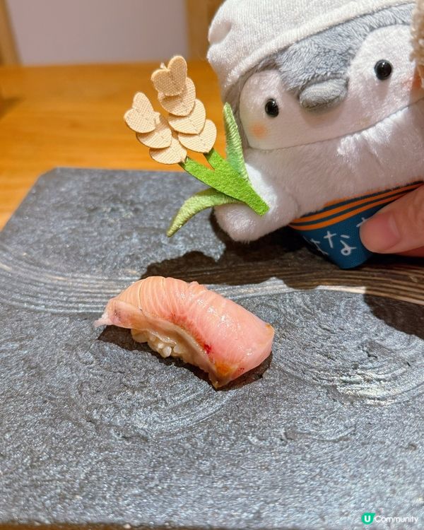 鮨定山午市體驗🤤！氣氛一流，壽司正！🍣