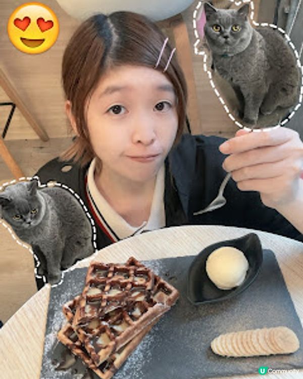 ‼️尖沙咀🐱🐱貓店長x2出沒注意😍