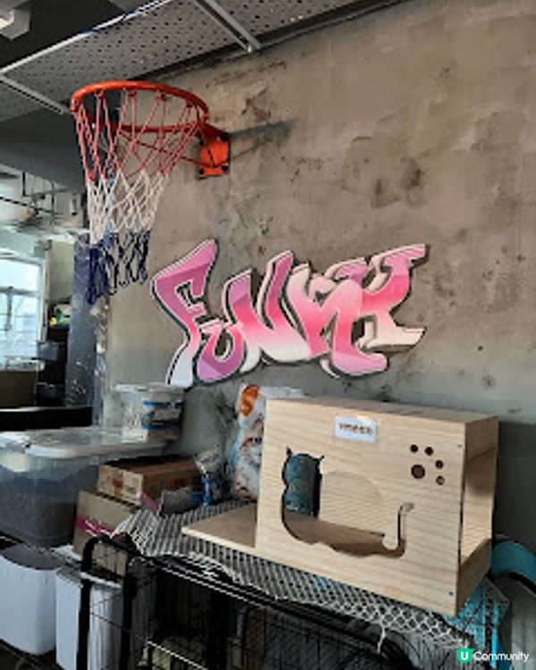 ‼️尖沙咀🐱🐱貓店長x2出沒注意😍