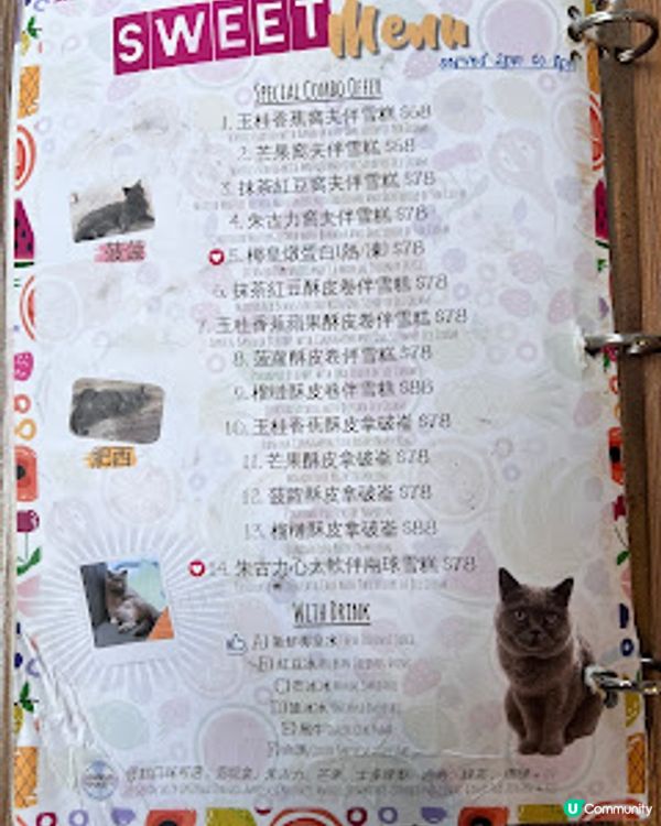 ‼️尖沙咀🐱🐱貓店長x2出沒注意😍