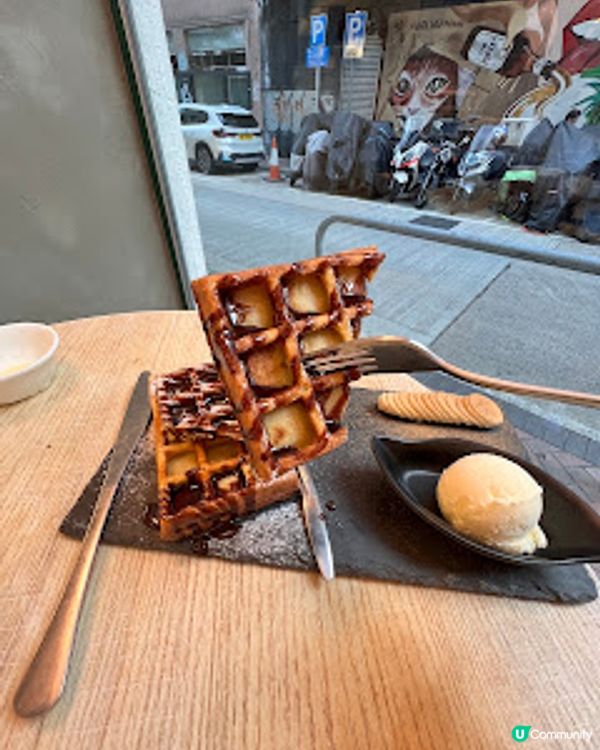 ‼️尖沙咀🐱🐱貓店長x2出沒注意😍