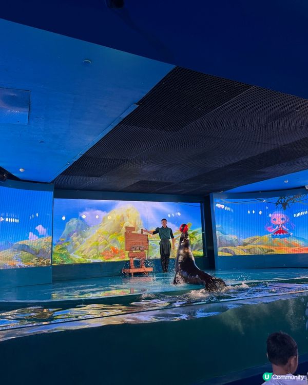 ［深圳一天遊推介］⭐️南山區歡樂海岸⭐️