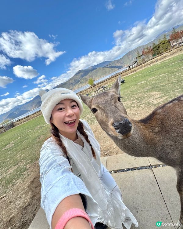 説走就走的香格理拉之旅 - 第一篇