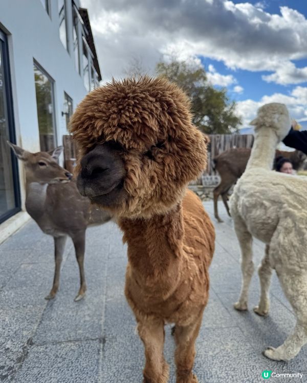 説走就走的香格理拉之旅 - 第一篇