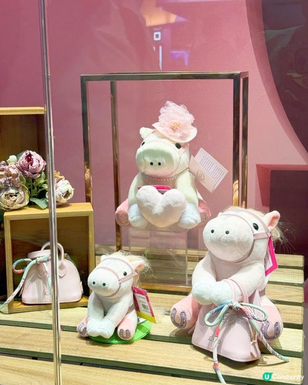 🩷莎莎婦女銀袋日2025