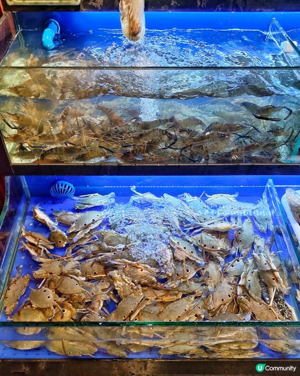 隱世💰抵食🦀海鮮🦐火鍋🥢放題