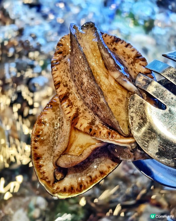 隱世💰抵食🦀海鮮🦐火鍋🥢放題