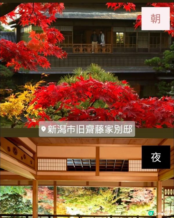 秋葉之旅🍁！新潟舊齋藤家別邸等緊你！🤩