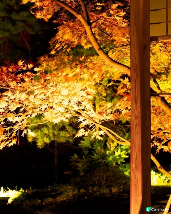 秋葉之旅🍁！新潟舊齋藤家別邸等緊你！🤩