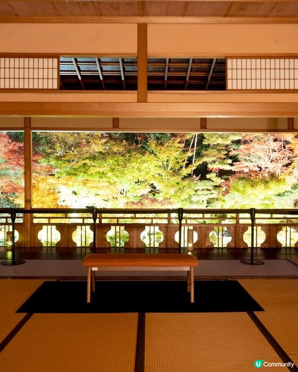 秋葉之旅🍁！新潟舊齋藤家別邸等緊你！🤩