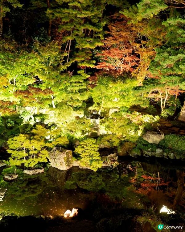 秋葉之旅🍁！新潟舊齋藤家別邸等緊你！🤩