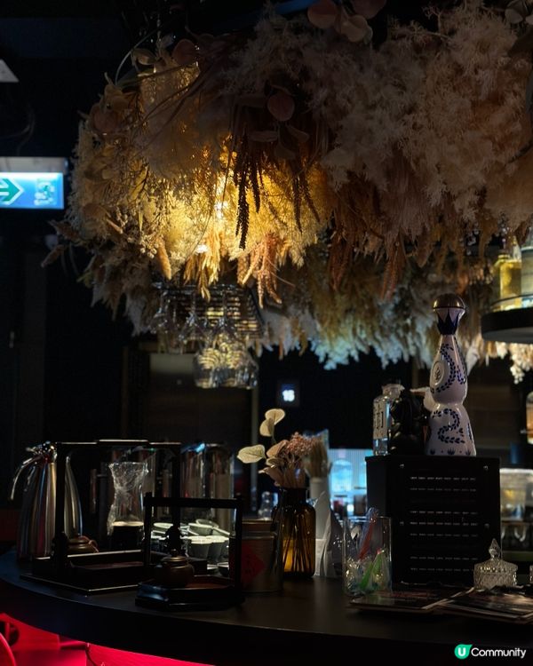 ฅ՞•ﻌ•՞ฅ 尖沙咀靚靚夜景ᴄʜɪʟʟ酒吧🍸