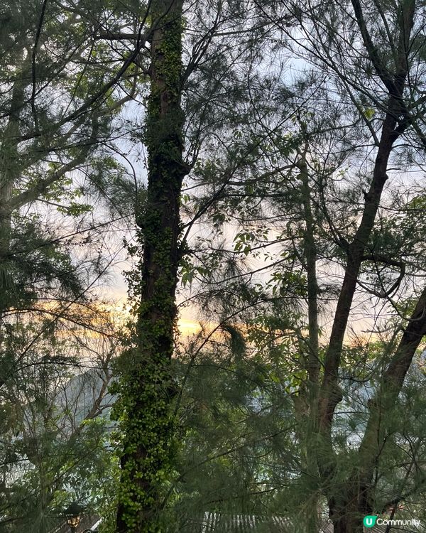 可能海洋公園多叢林,當日去都幾多蚊｡好彩我帶備冇DEET成份...