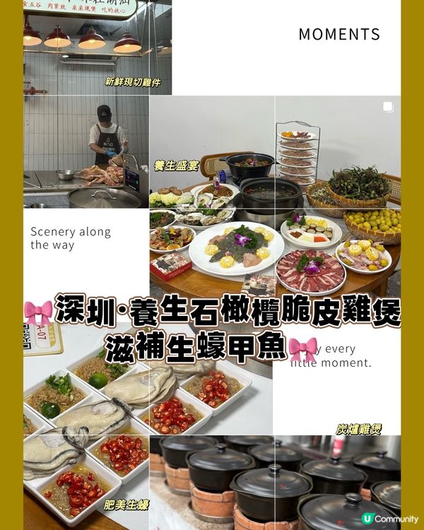 🎀深圳｡養生石橄欖脆皮雞煲 滋補生蠔甲魚🎀