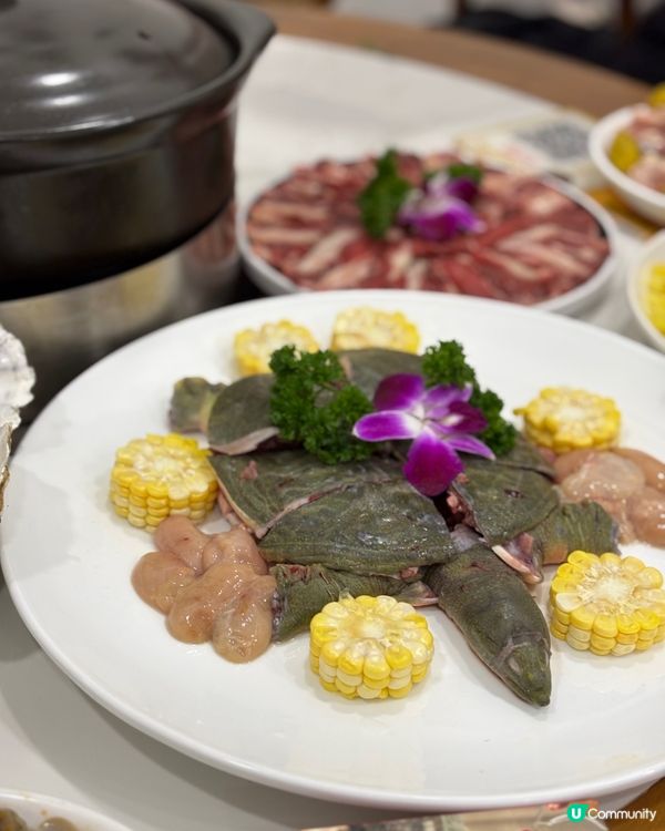 🎀深圳｡養生石橄欖脆皮雞煲 滋補生蠔甲魚🎀