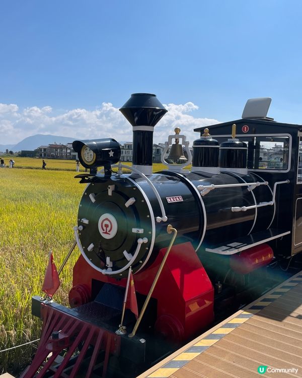 喜洲小火車慢遊🌾！大理田野chill爆📸！