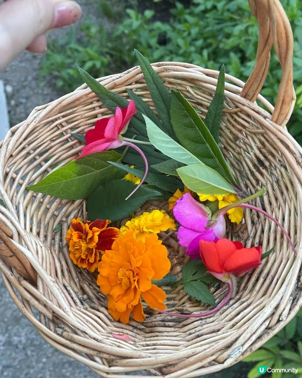 敲出獨一無二花袋！大理拓染超治癒 💐