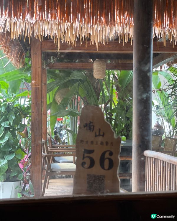 雲南菌香盛宴！🍄 喃山野生菌火鍋🤤